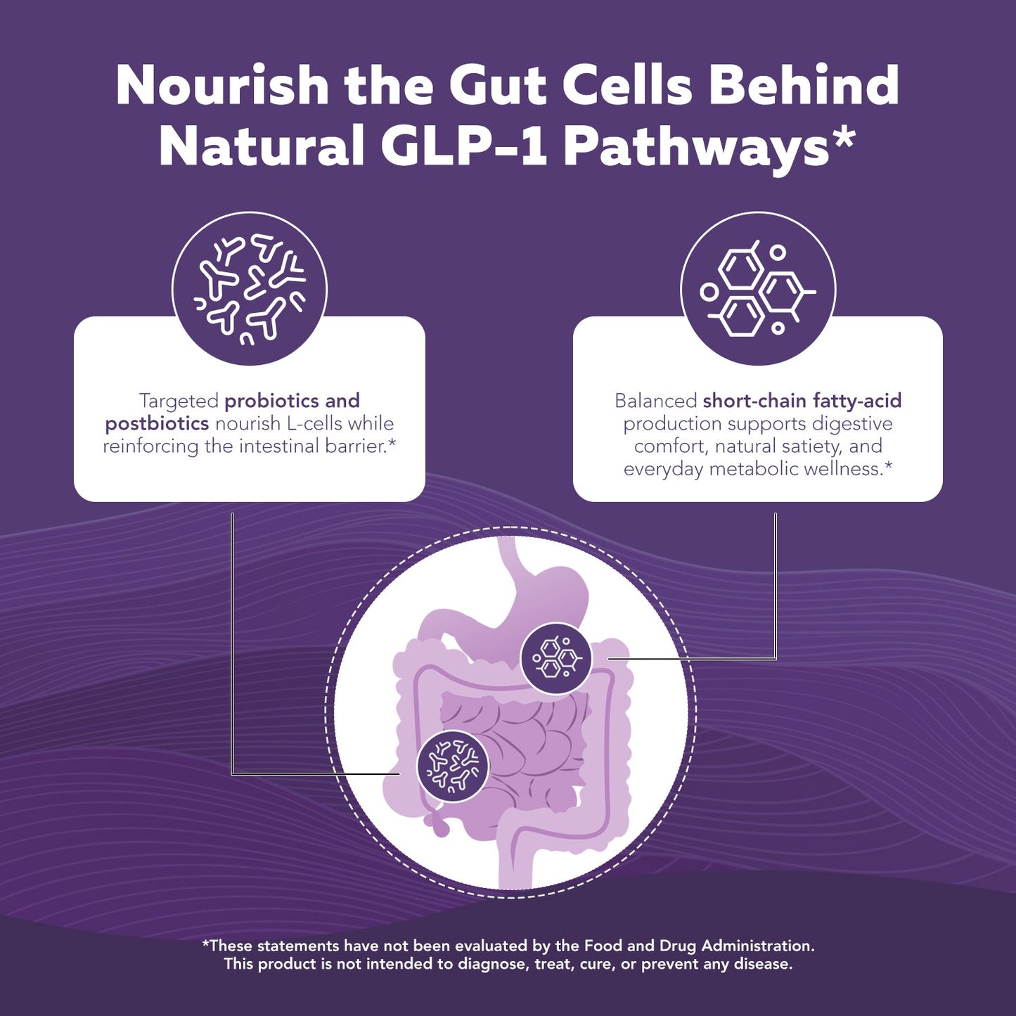 GLP-Pro | GLP-1 Probiotic & Postbiotic