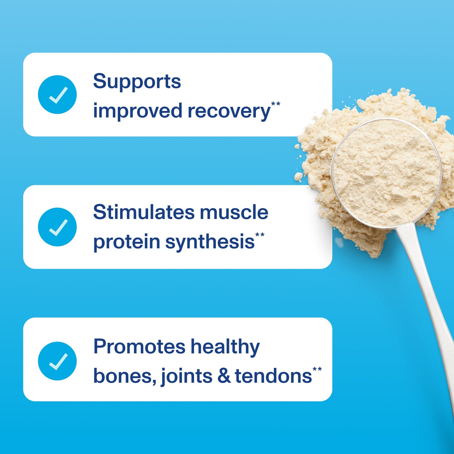 ActivaWell™ Protein Powder